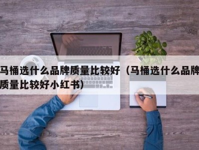 天津马桶选什么品牌质量比较好（马桶选什么品牌质量比较好小红书）