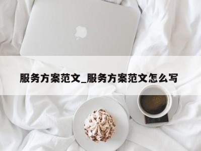 天津服务方案范文_服务方案范文怎么写 