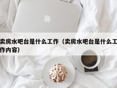 天津卖房水吧台是什么工作（卖房水吧台是什么工作内容）