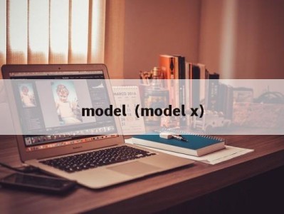 天津model（model x）