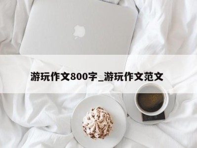 天津游玩作文800字_游玩作文范文 