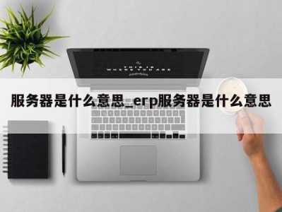 天津服务器是什么意思_erp服务器是什么意思 